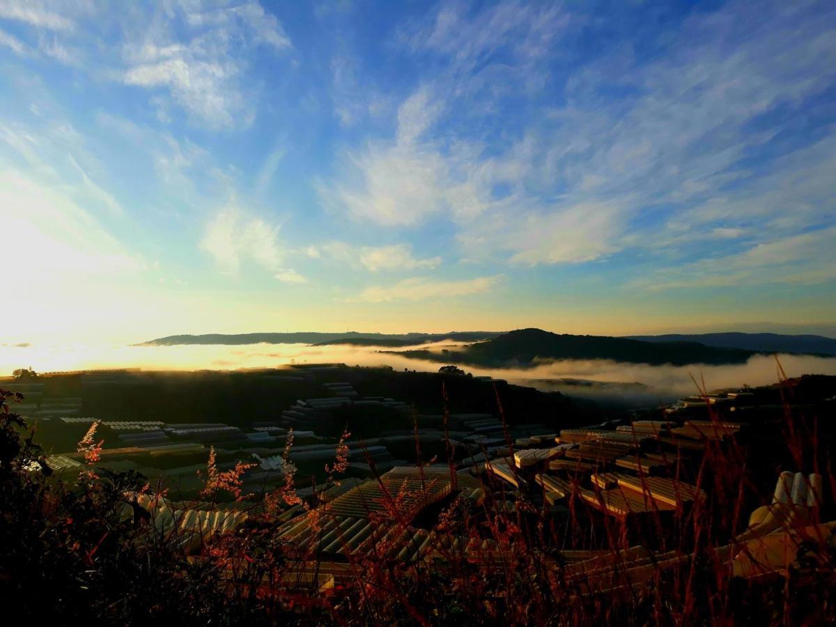 Canh Dong May Homestay Da Lat Dış mekan fotoğraf